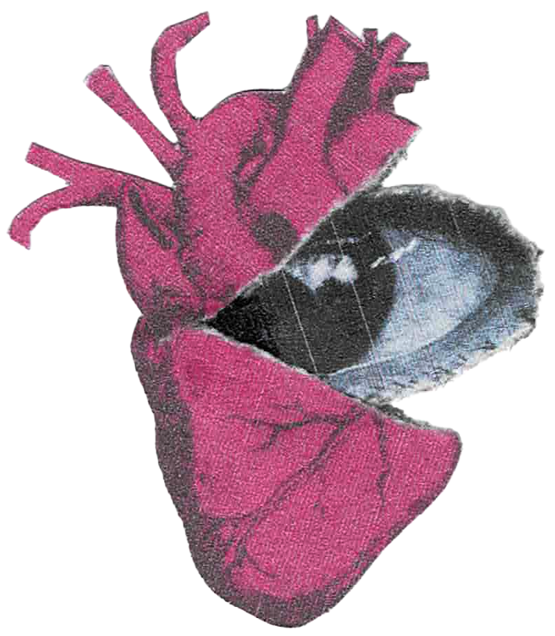 heart illustration