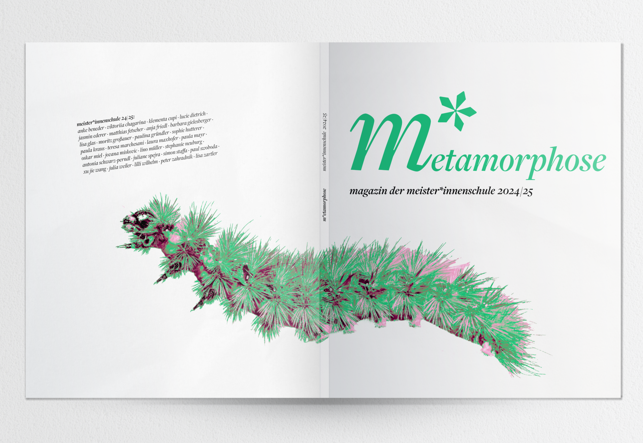 preview project metamorphose